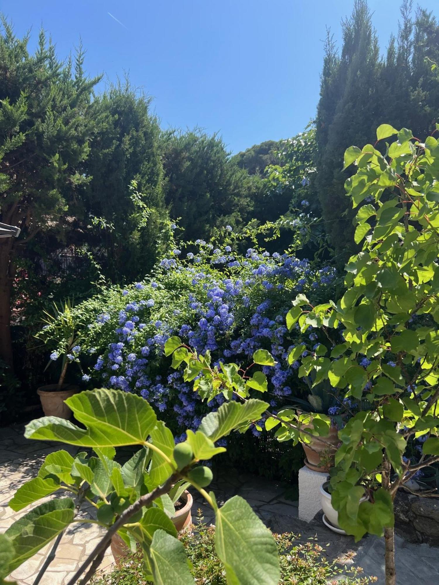 Superbe Appartement Avec Terrasse Jardin Et Parking Prive Saint-Tropez Extérieur photo